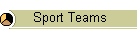 Sport Teams
