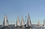 Sonar class boats during a Sailing race.  ATHOC
